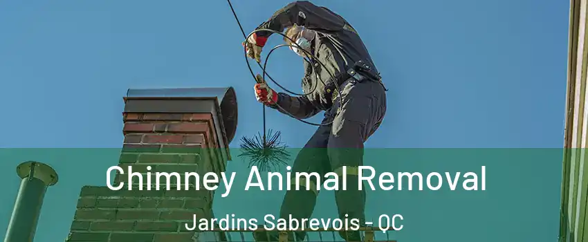 Chimney Animal Removal Jardins Sabrevois - QC