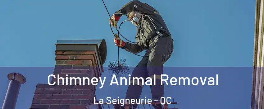 Chimney Animal Removal La Seigneurie - QC