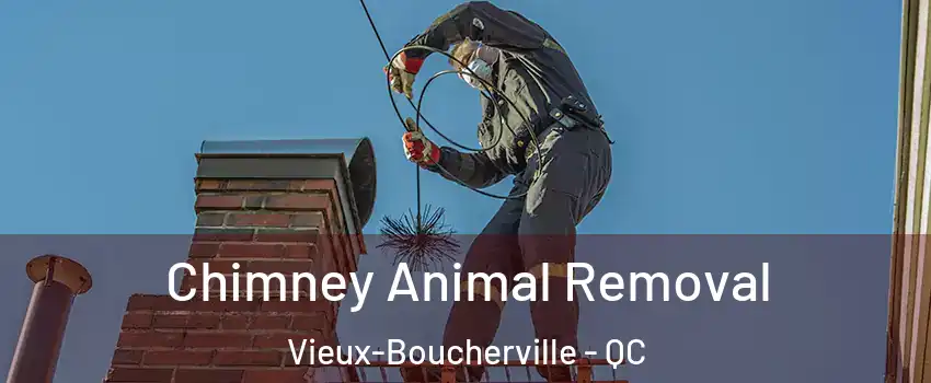 Chimney Animal Removal Vieux-Boucherville - QC