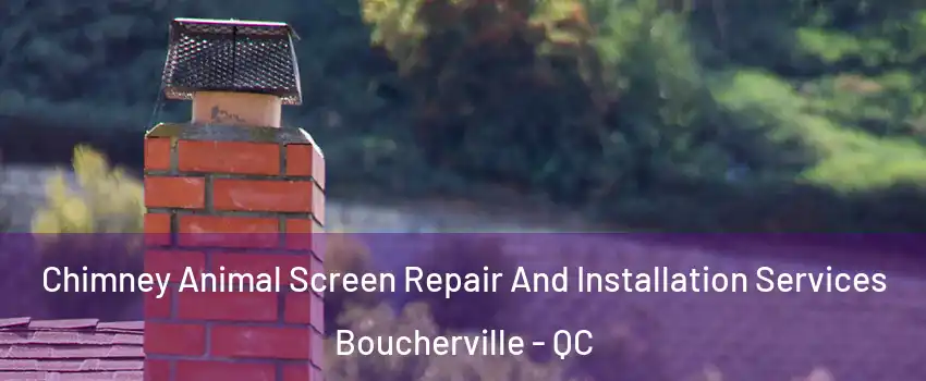  Chimney Animal Screen Repair And Installation Services Boucherville - QC