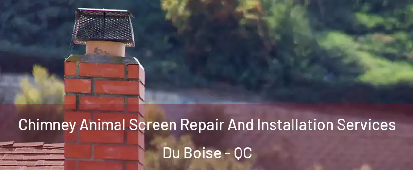  Chimney Animal Screen Repair And Installation Services Du Boise - QC