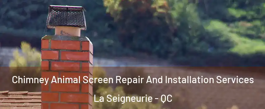  Chimney Animal Screen Repair And Installation Services La Seigneurie - QC