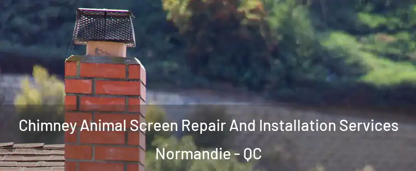 Chimney Animal Screen Repair And Installation Services Normandie - QC