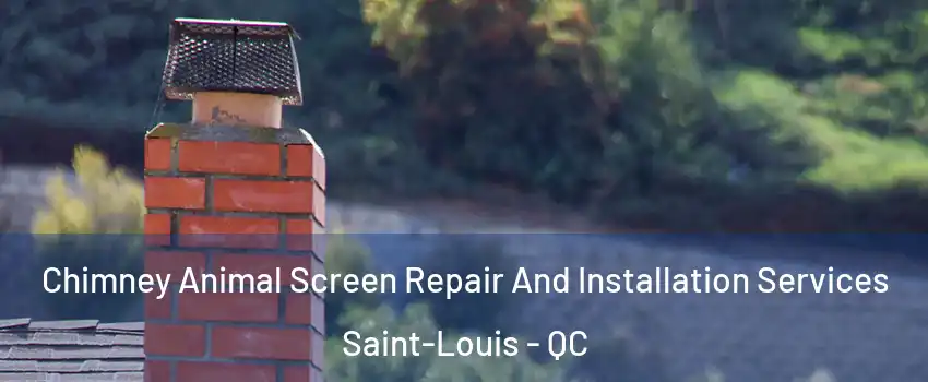  Chimney Animal Screen Repair And Installation Services Saint-Louis - QC