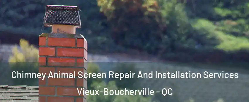  Chimney Animal Screen Repair And Installation Services Vieux-Boucherville - QC