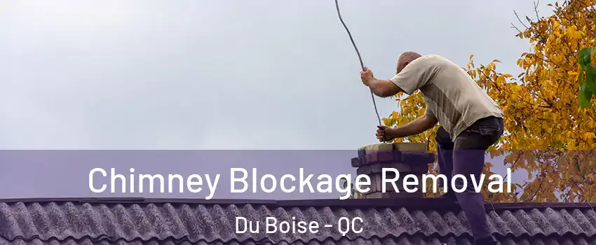 Chimney Blockage Removal Du Boise - QC