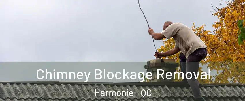  Chimney Blockage Removal Harmonie - QC
