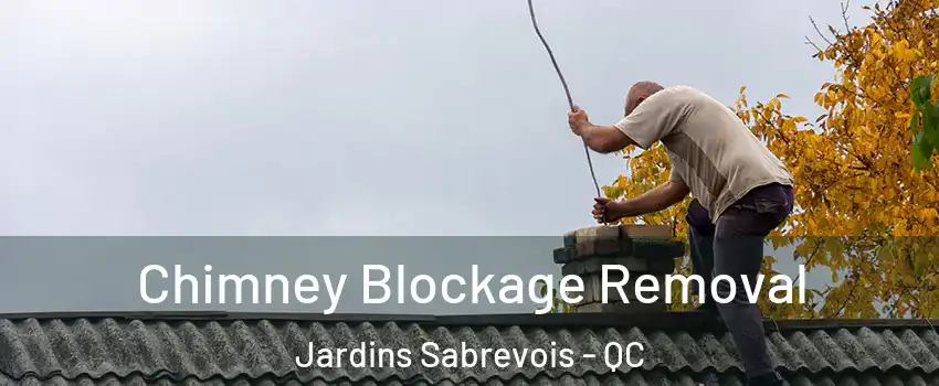  Chimney Blockage Removal Jardins Sabrevois - QC