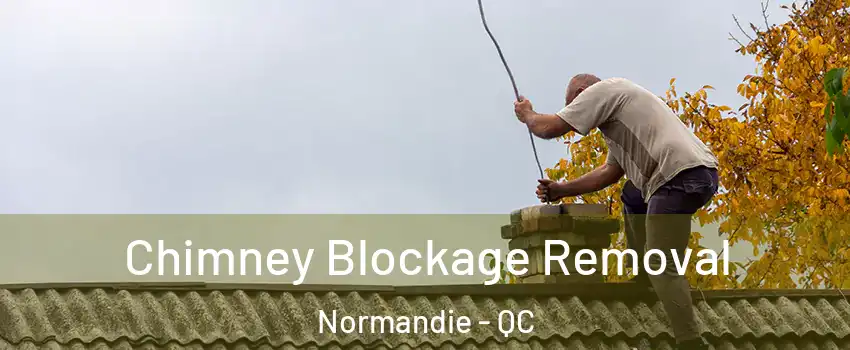  Chimney Blockage Removal Normandie - QC