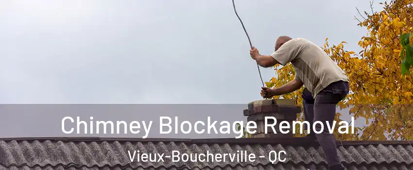  Chimney Blockage Removal Vieux-Boucherville - QC