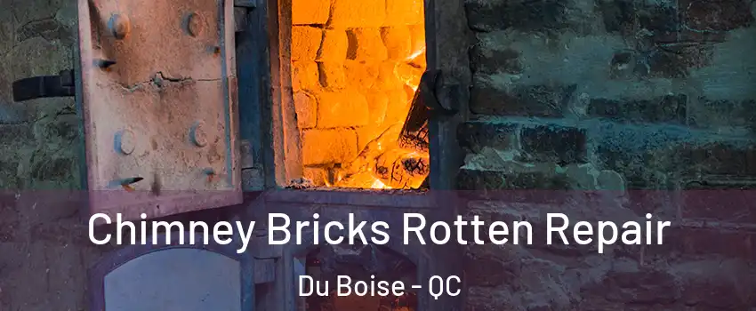  Chimney Bricks Rotten Repair Du Boise - QC