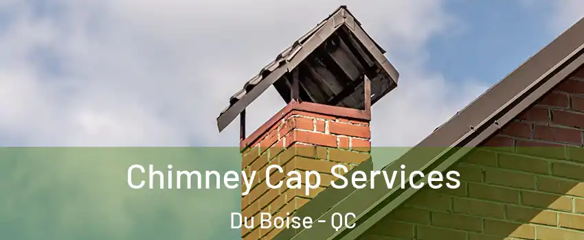  Chimney Cap Services Du Boise - QC