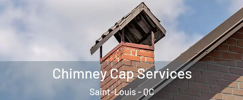  Chimney Cap Services Saint-Louis - QC