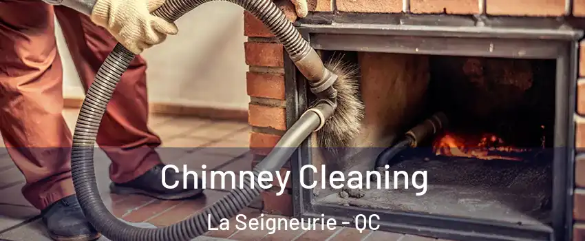  Chimney Cleaning La Seigneurie - QC