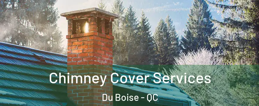  Chimney Cover Services Du Boise - QC