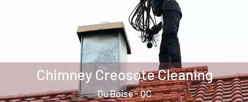  Chimney Creosote Cleaning Du Boise - QC