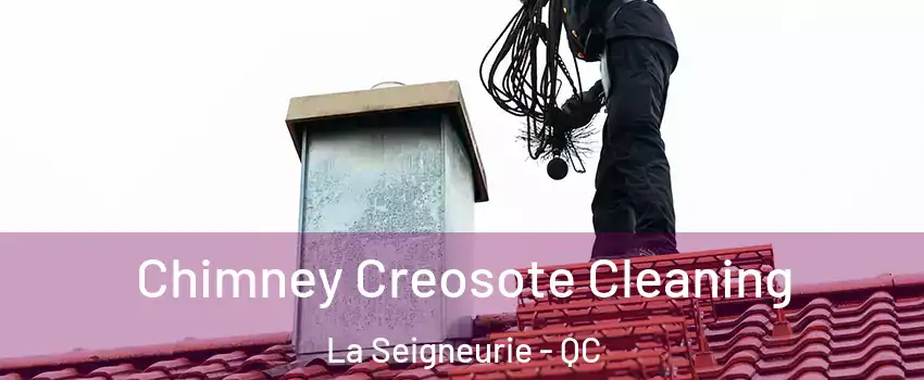 Chimney Creosote Cleaning La Seigneurie - QC