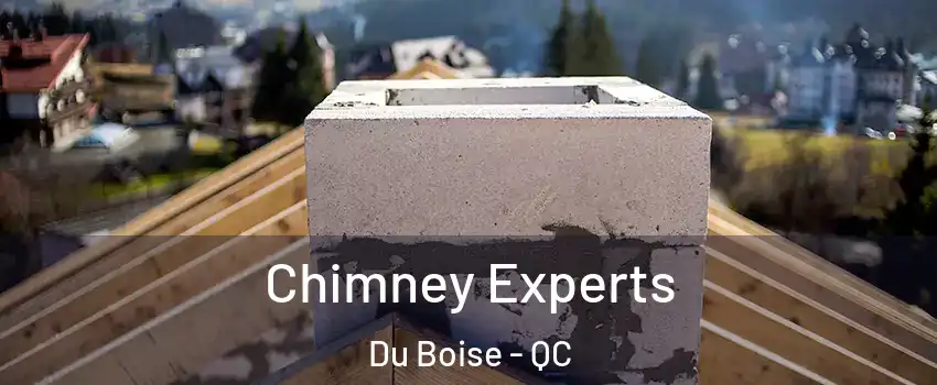 Chimney Experts Du Boise - QC