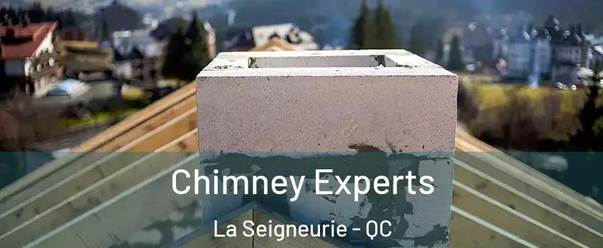 Chimney Experts La Seigneurie - QC