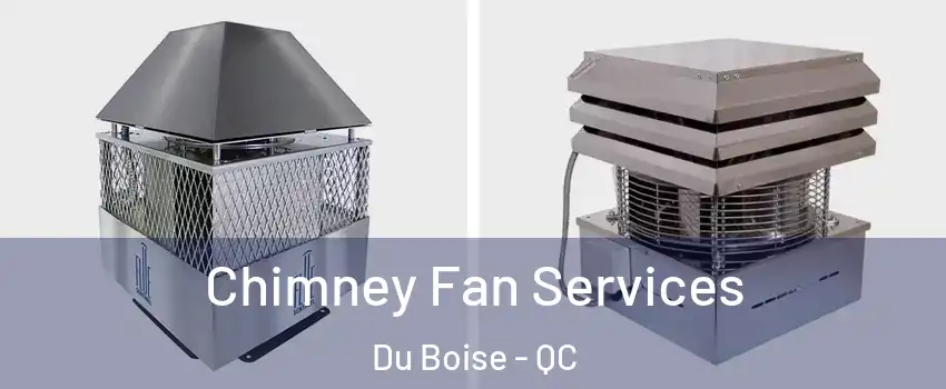  Chimney Fan Services Du Boise - QC
