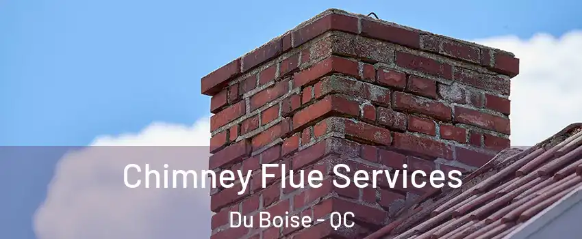  Chimney Flue Services Du Boise - QC