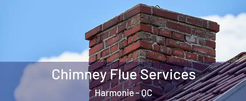  Chimney Flue Services Harmonie - QC
