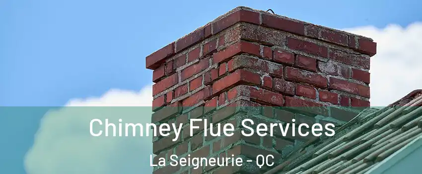  Chimney Flue Services La Seigneurie - QC