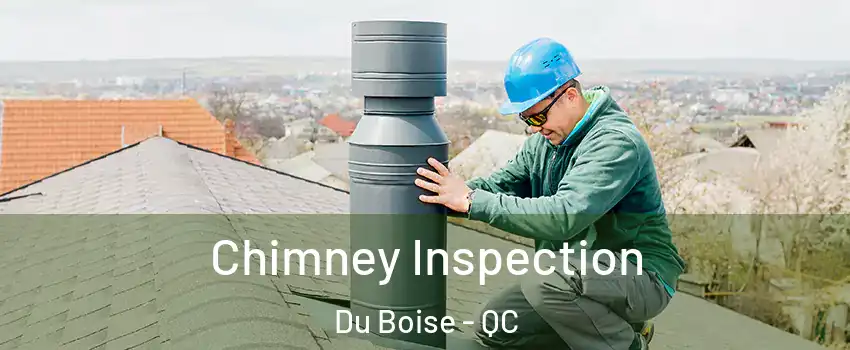  Chimney Inspection Du Boise - QC