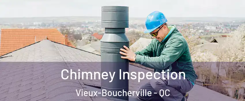  Chimney Inspection Vieux-Boucherville - QC