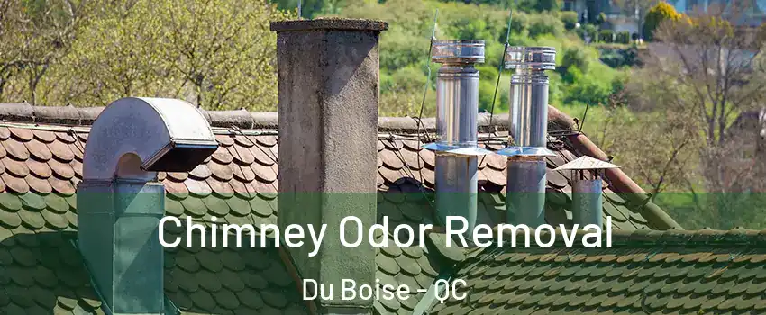  Chimney Odor Removal Du Boise - QC