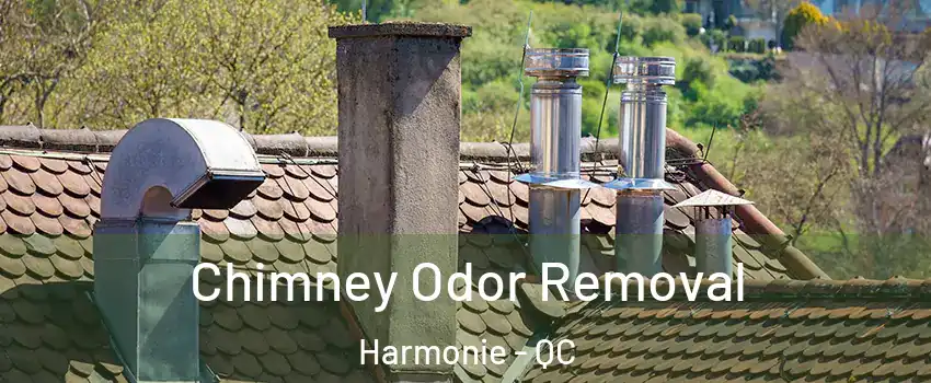  Chimney Odor Removal Harmonie - QC