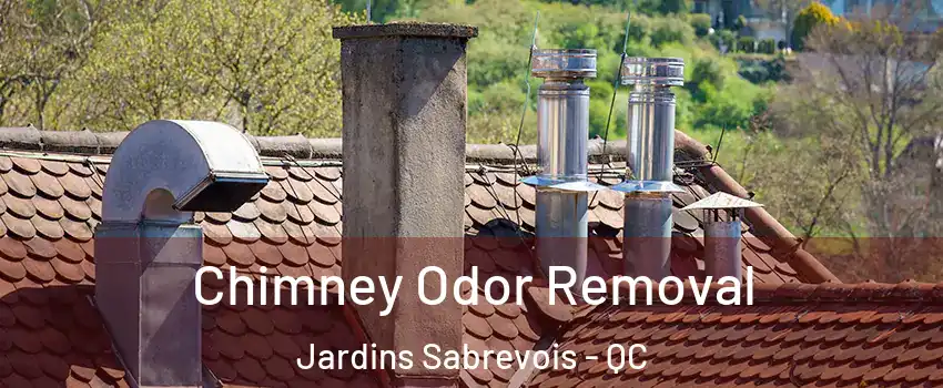  Chimney Odor Removal Jardins Sabrevois - QC