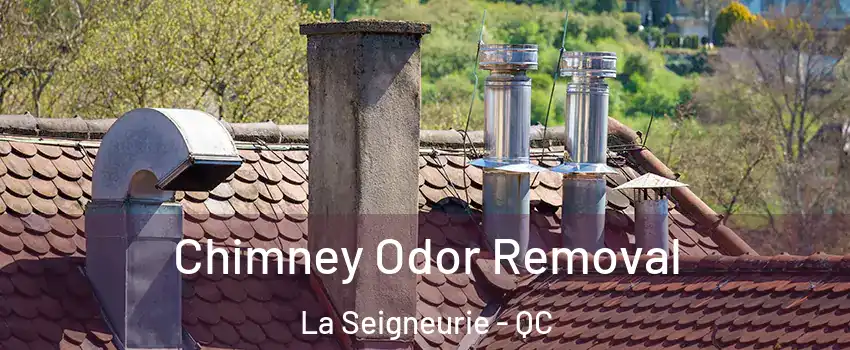  Chimney Odor Removal La Seigneurie - QC
