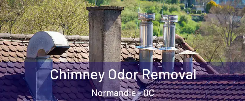  Chimney Odor Removal Normandie - QC