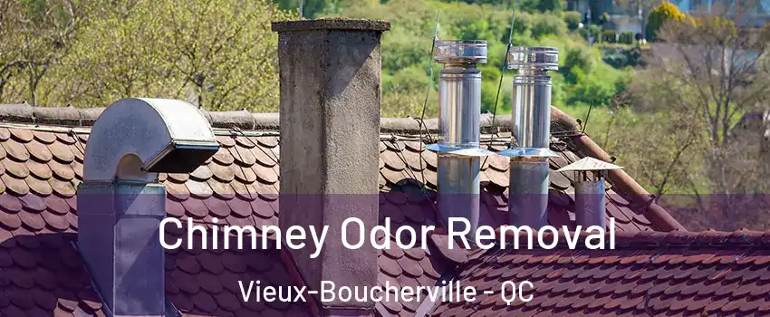  Chimney Odor Removal Vieux-Boucherville - QC