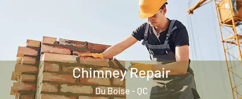  Chimney Repair Du Boise - QC