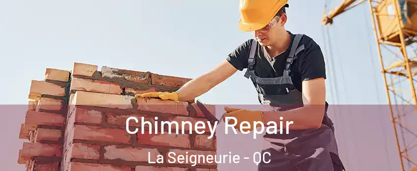  Chimney Repair La Seigneurie - QC