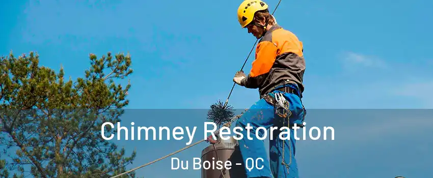  Chimney Restoration Du Boise - QC