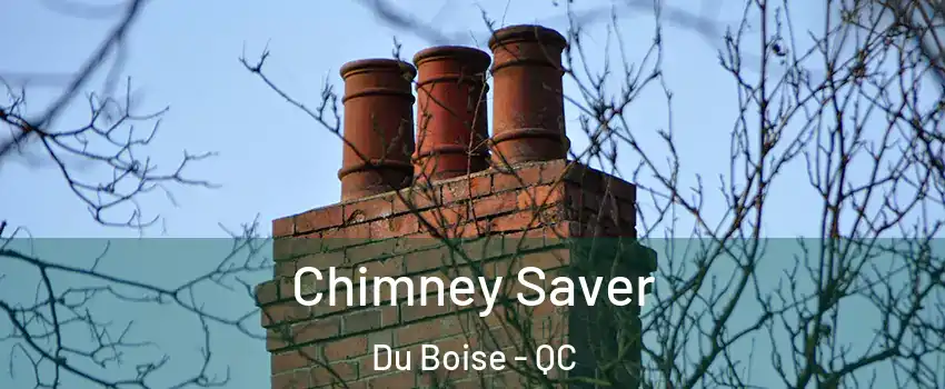  Chimney Saver Du Boise - QC