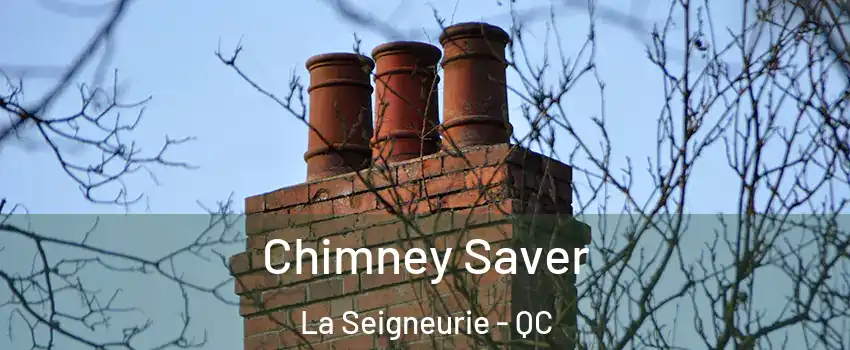  Chimney Saver La Seigneurie - QC