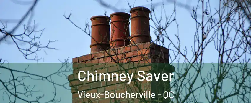  Chimney Saver Vieux-Boucherville - QC