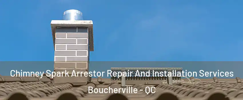  Chimney Spark Arrestor Repair And Installation Services Boucherville - QC