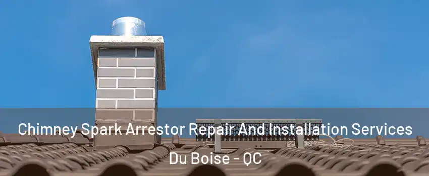  Chimney Spark Arrestor Repair And Installation Services Du Boise - QC