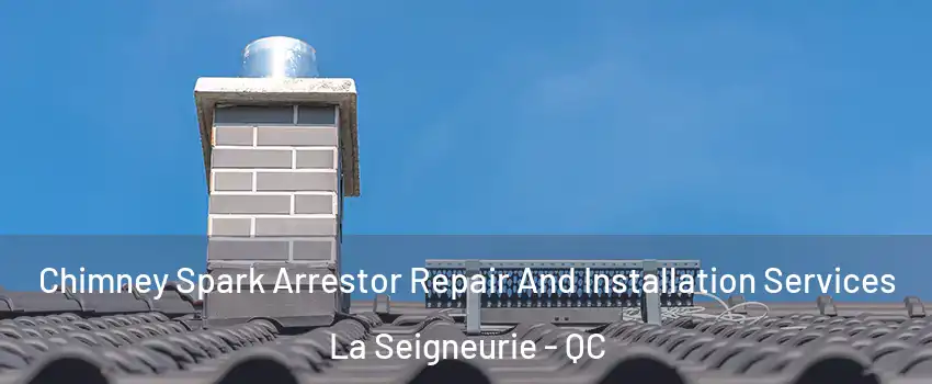  Chimney Spark Arrestor Repair And Installation Services La Seigneurie - QC
