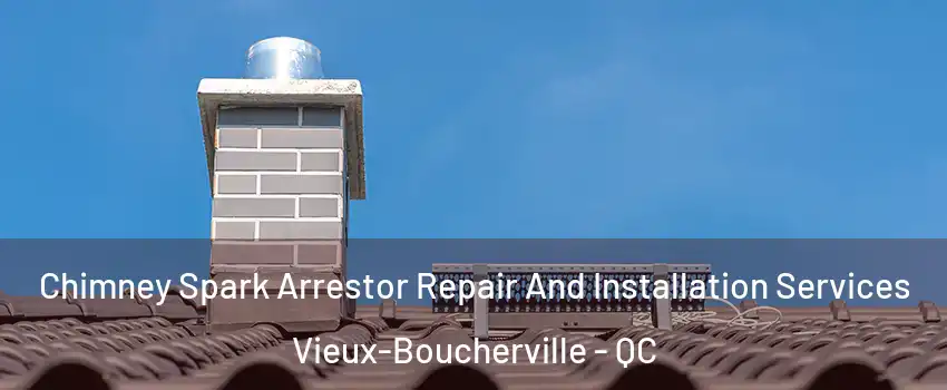  Chimney Spark Arrestor Repair And Installation Services Vieux-Boucherville - QC