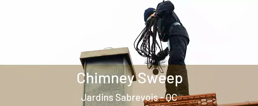  Chimney Sweep Jardins Sabrevois - QC