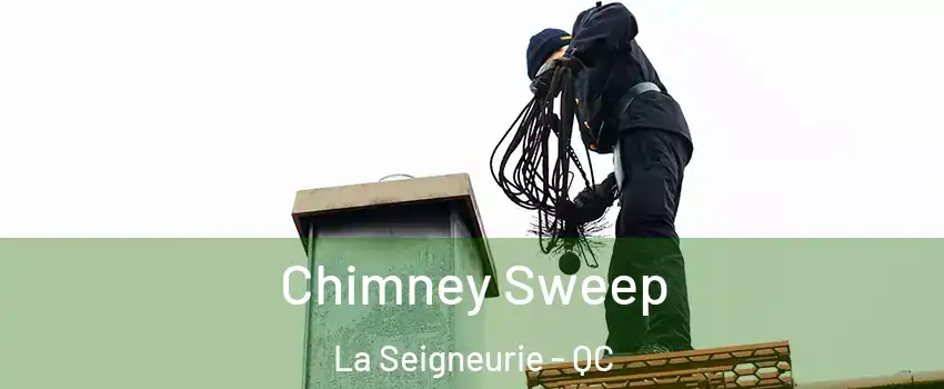  Chimney Sweep La Seigneurie - QC