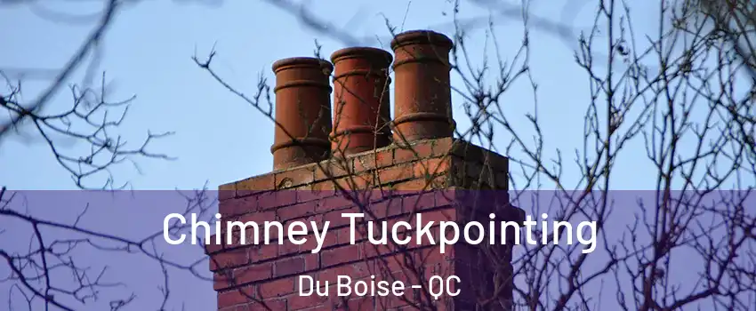Chimney Tuckpointing Du Boise - QC