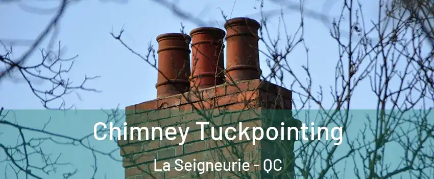  Chimney Tuckpointing La Seigneurie - QC