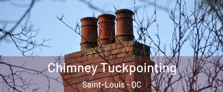  Chimney Tuckpointing Saint-Louis - QC